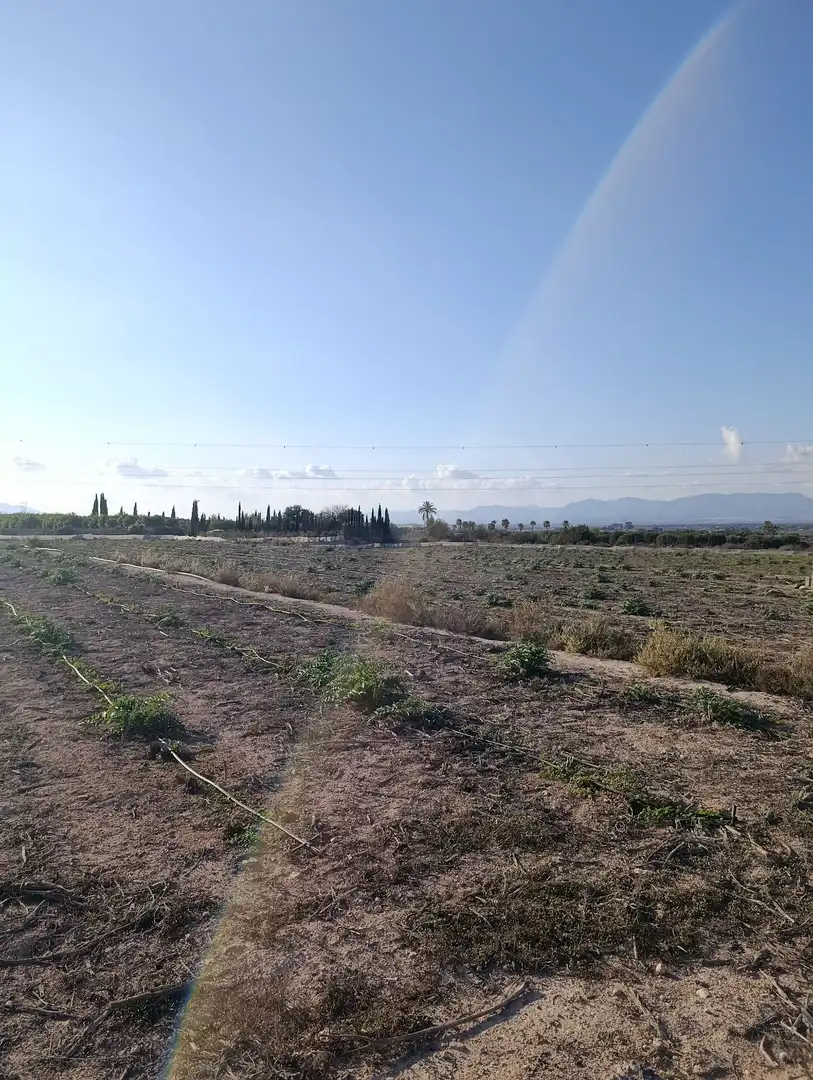 Terrain rustique à vendre à La Marina, imagen 11