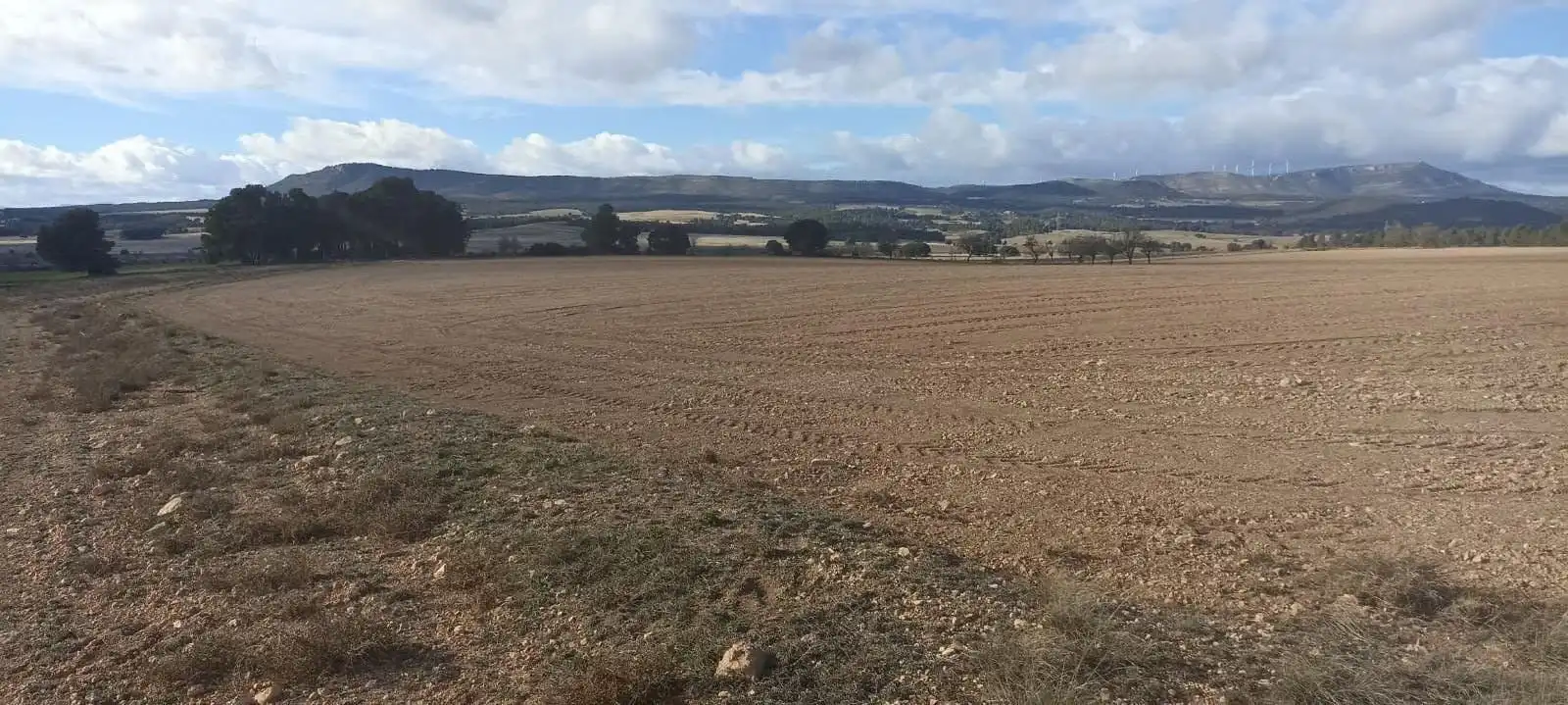 Terreny rústic en venda a Ayora, imagen 5