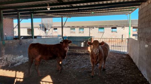 Foto 5 de Terreno en venta en Sueca ciudad, Sueca