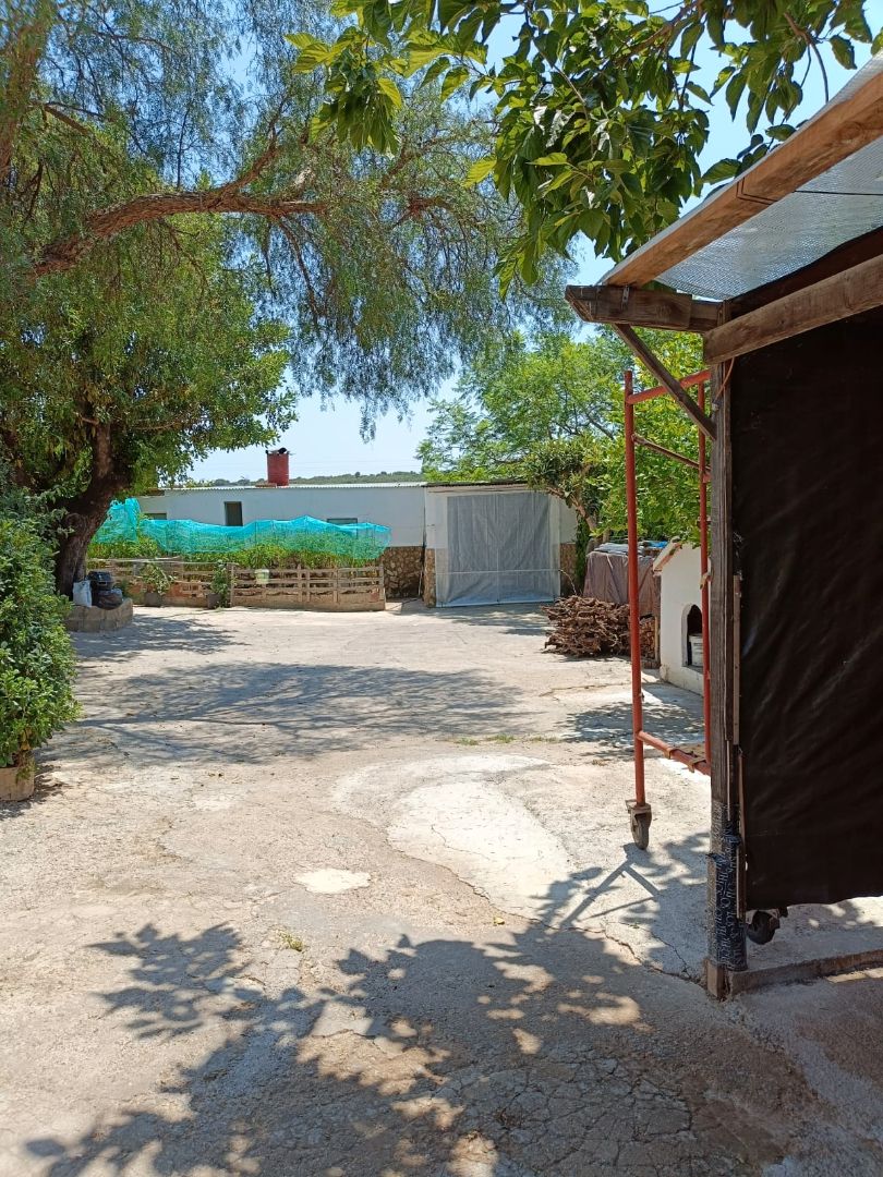 Exterior view of House or chalet for sale in Vilamarxant  with Swimming Pool and Furnished