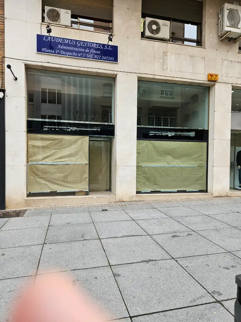 Local comercial en alquiler en Calle San Pedro de Alcántara
