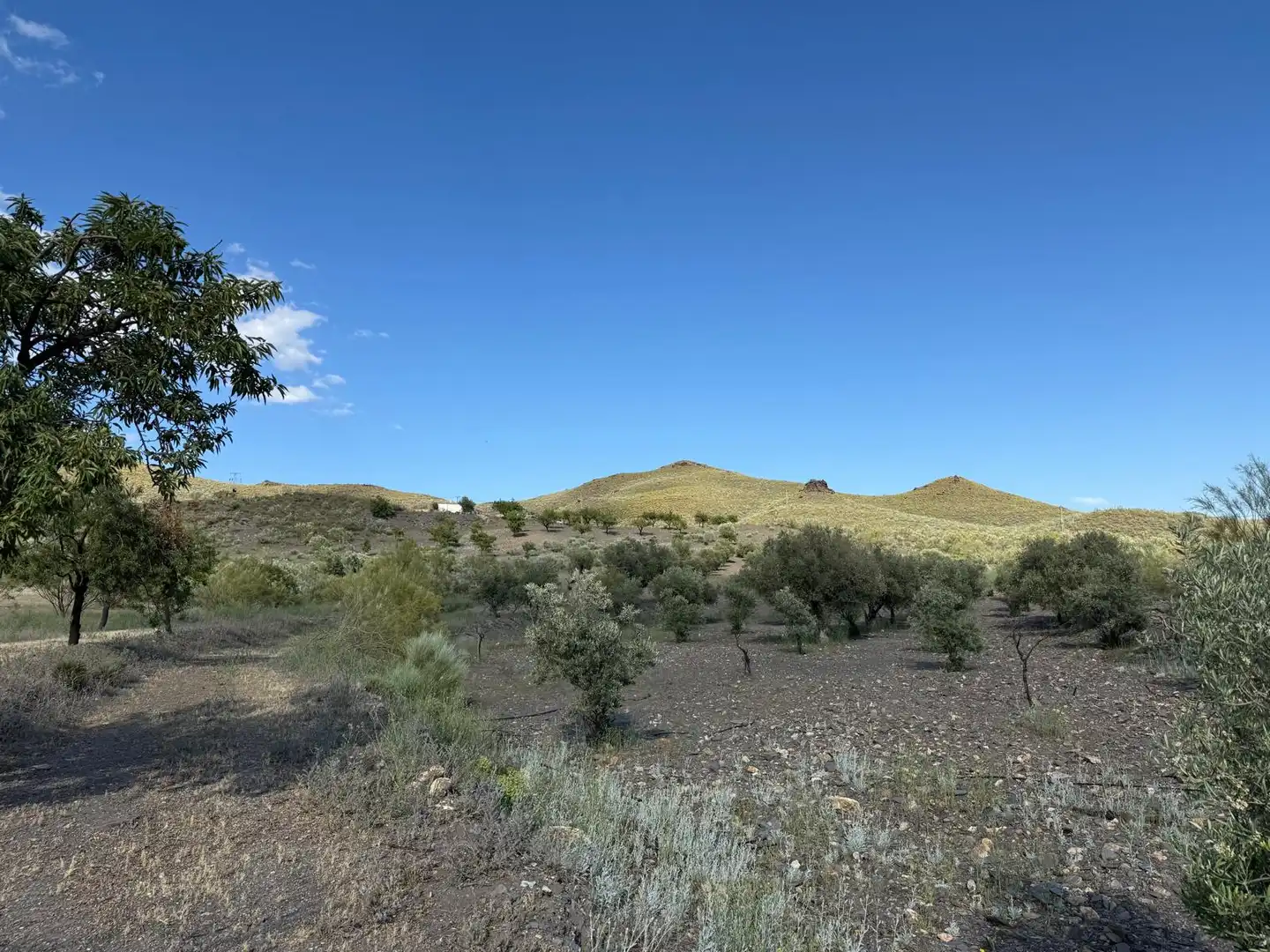 Finca rústica en venta en Senés con Jardín privado y Amueblado