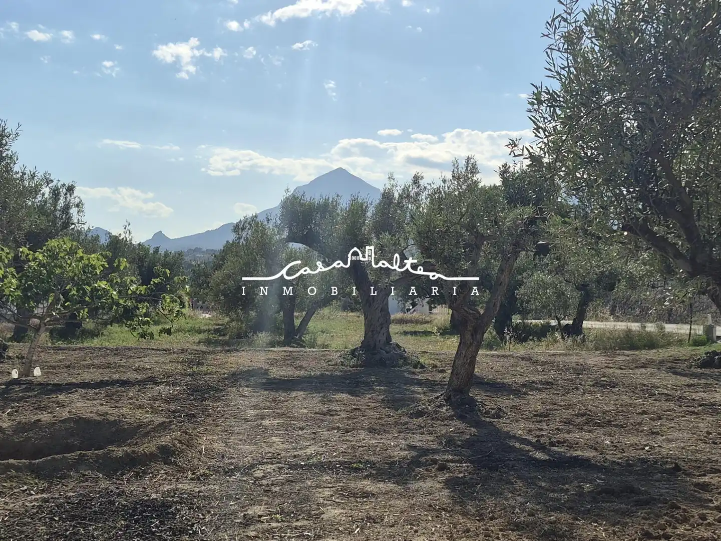 Terreno rustico in vendita a Altea ciudad, imagen 9