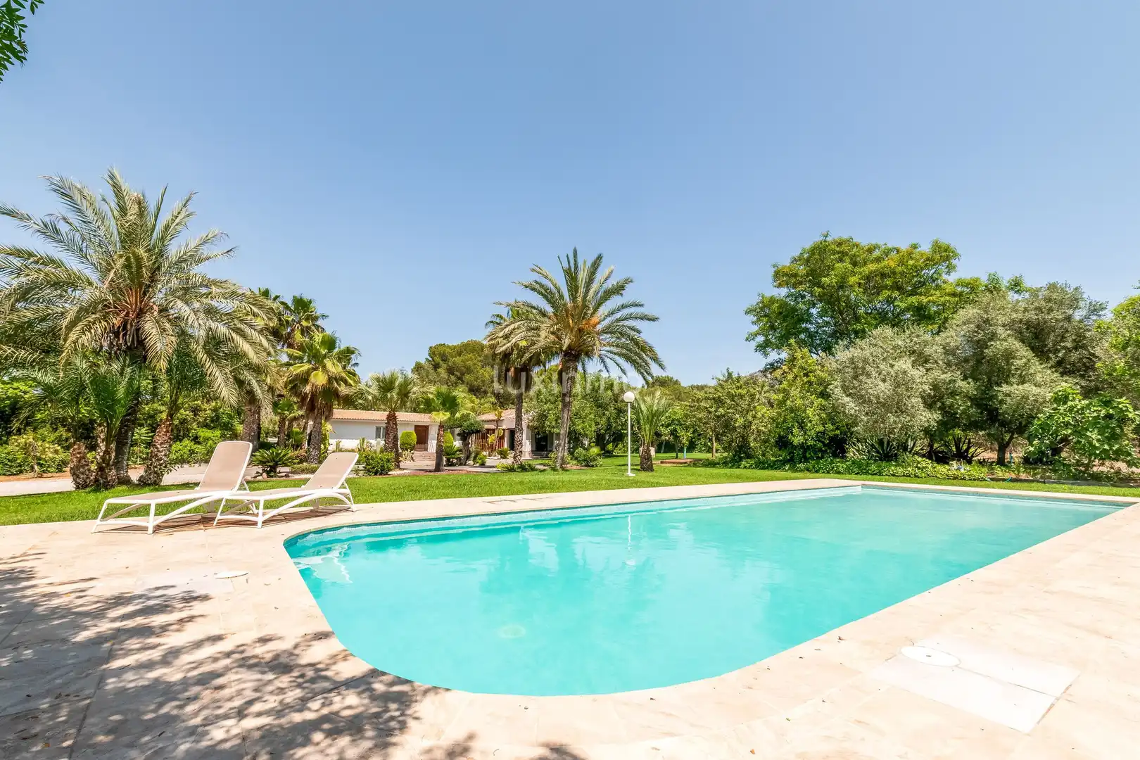 Piscina de Casa o chalet de alquiler en Rincón de Loix