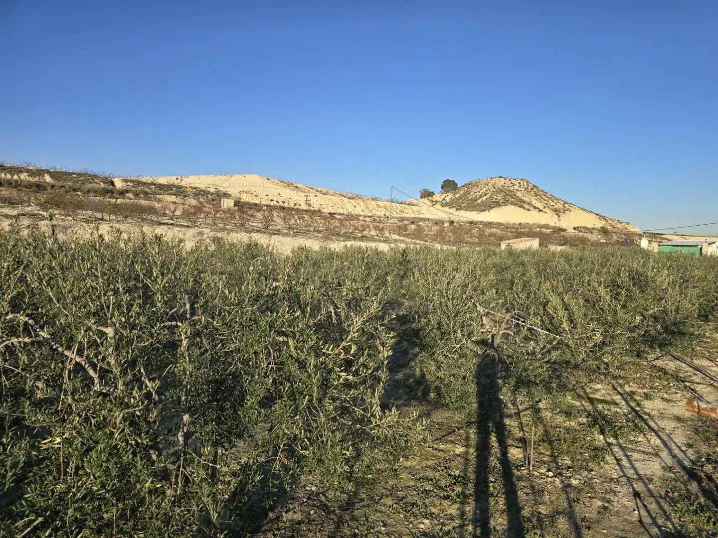 Casa o xalet en venda en Alguazas amb Jardí privat i Piscina comunitària