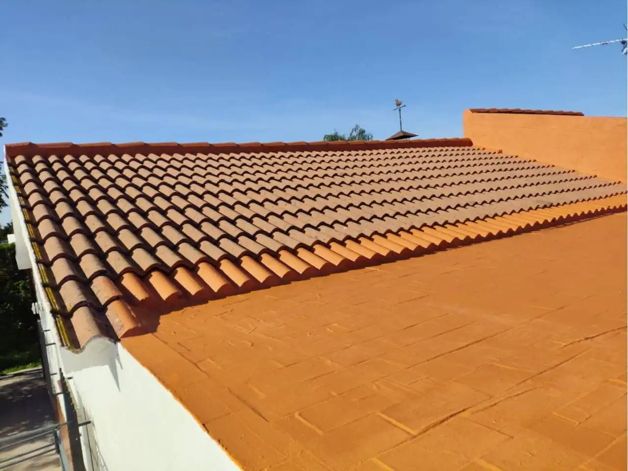 Vista exterior de Casa o chalet en venta en Carmona con Aire acondicionado, Calefacción y Jardín privado