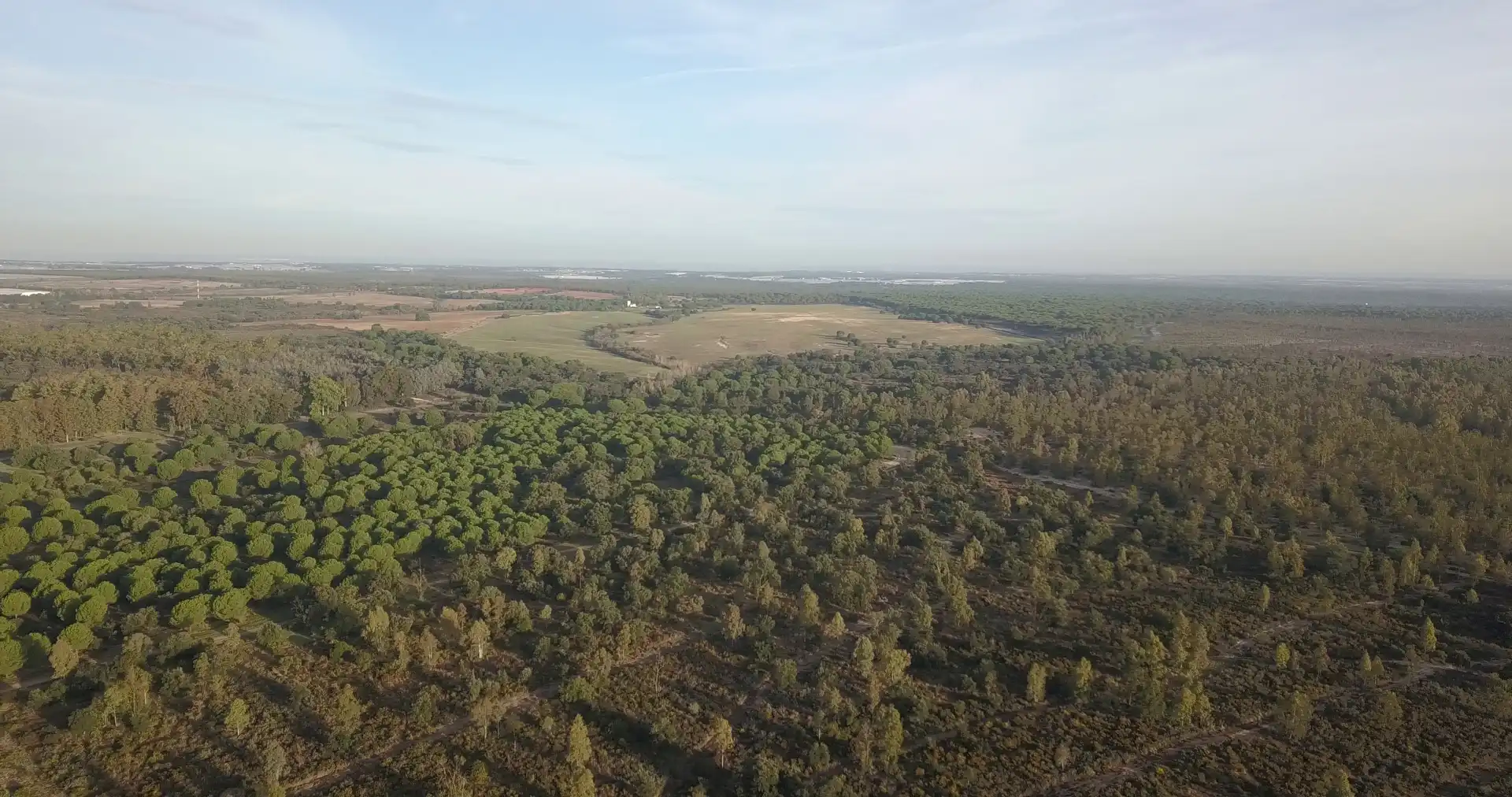 Finca rústica en venda en Almonte