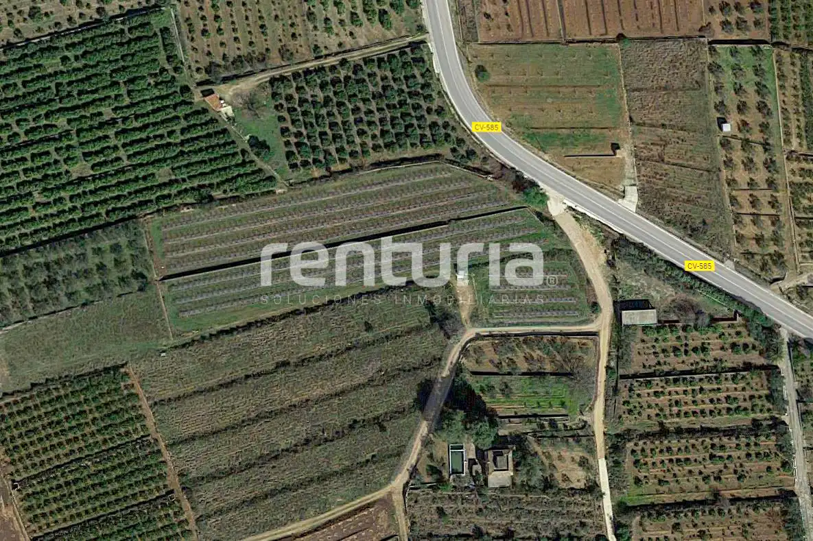 Rustikales Grundstück zum Verkauf in Anna, imagen 15