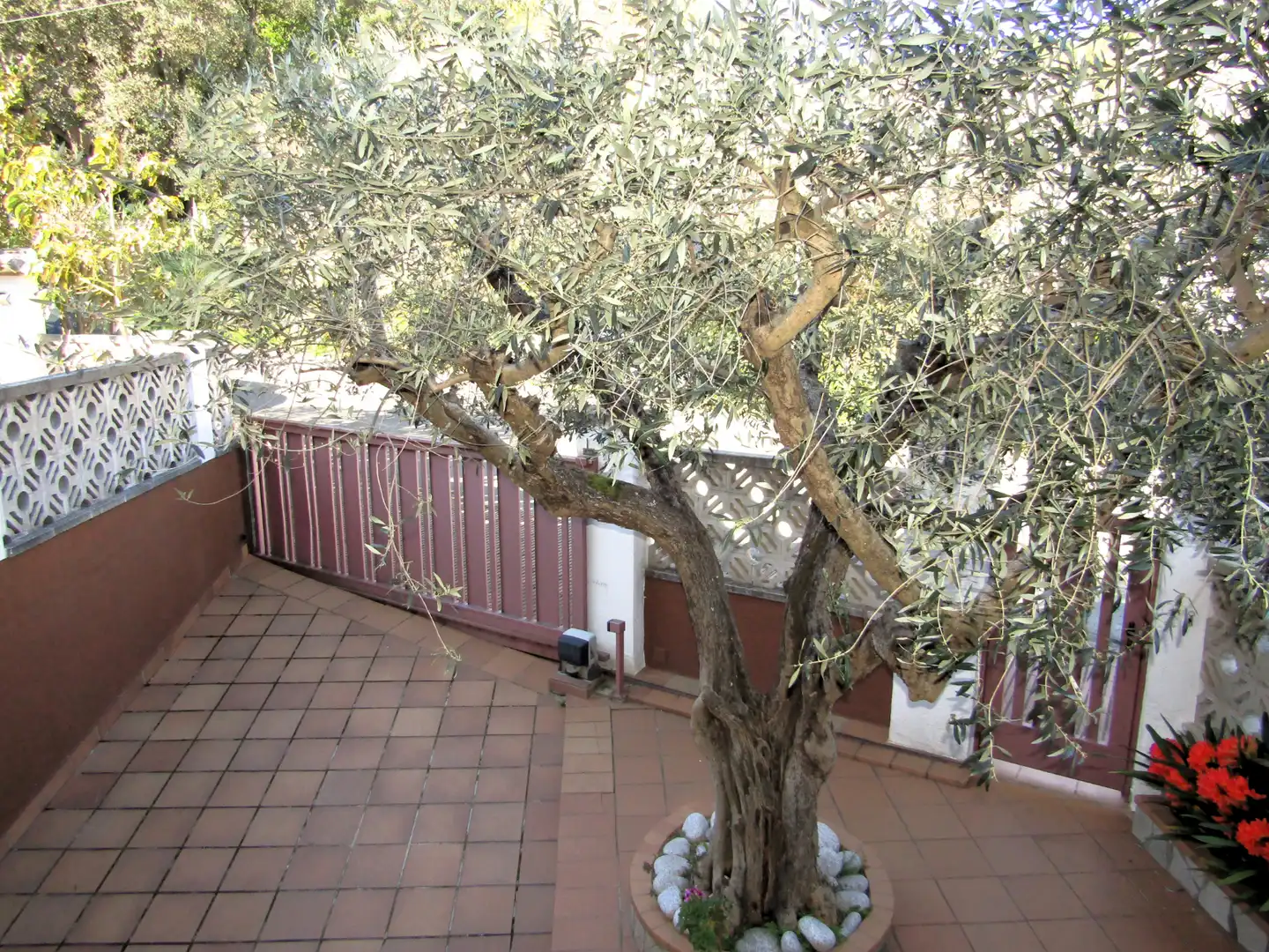 Jardí de Casa adosada en venda en Calonge i Sant Antoni amb Calefacció, Jardí privat i Terrassa