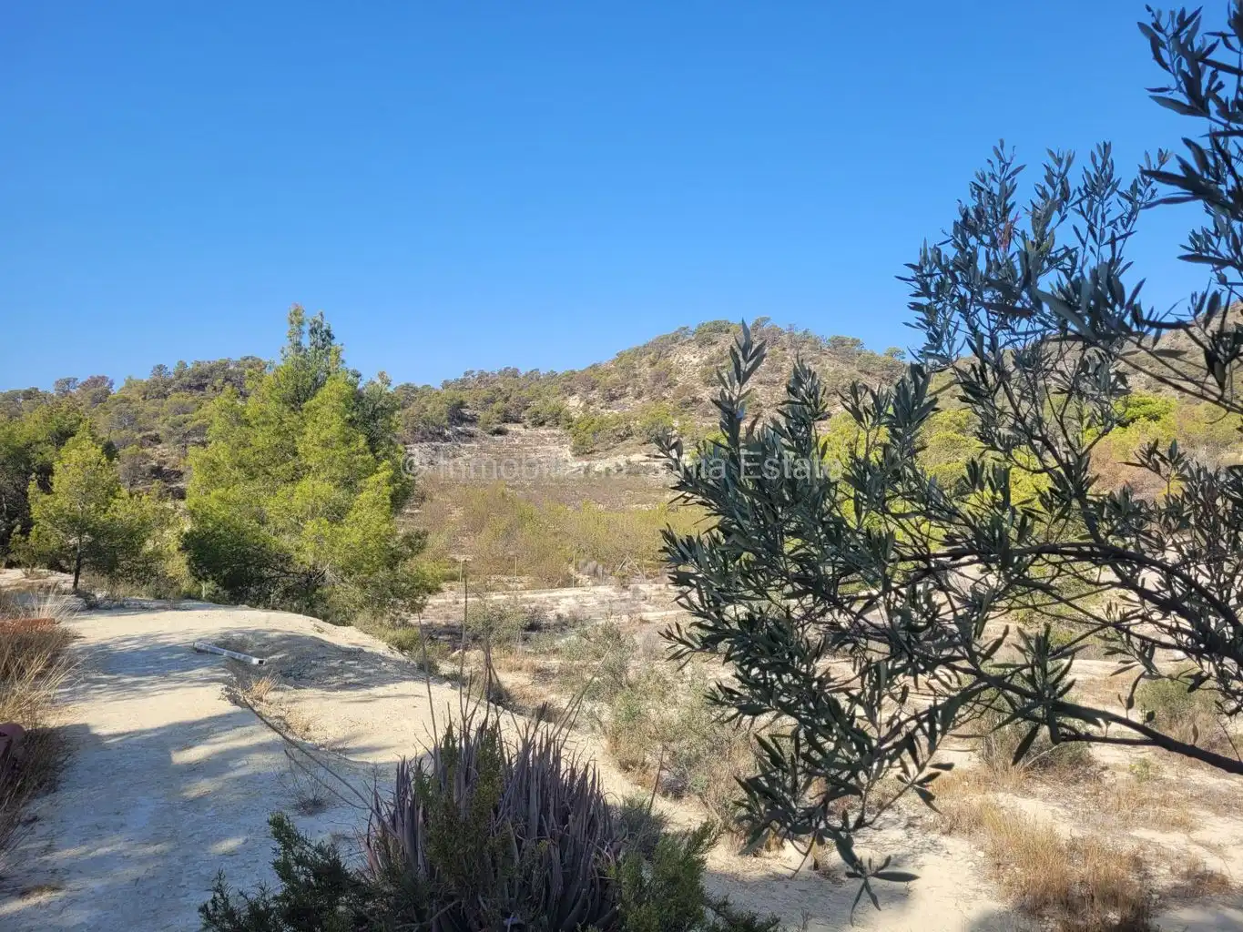Villa avec piscine à vendre à El Secanet - Hacienda del Sol, imagen 5