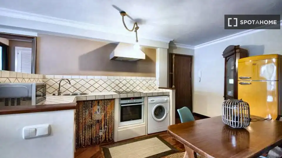 Kitchen of Apartments for share in Donostia - San Sebastián   with Air Conditioner, Terrace and Furnished