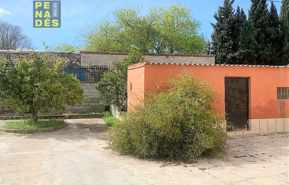 Detached house with garden for sale in El Llombo, imagen 4