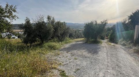 FINCA RÚSTICA CERCA DE LA LAGUNA DE PADUL, immagine 2