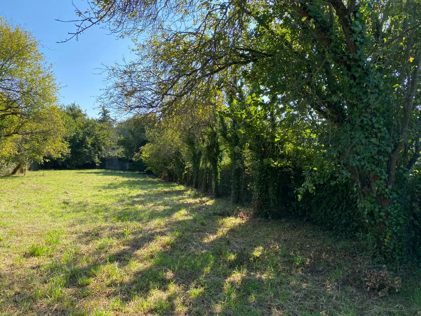 Terreni e lotti in vendita a Castro de Rei, imagen 4