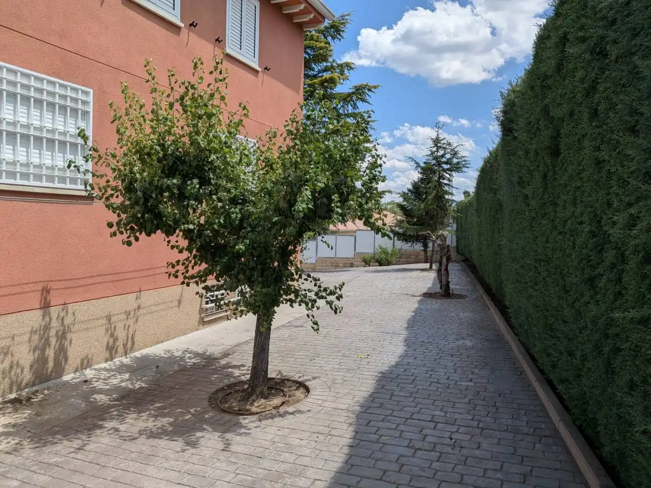 House with garden for sale in Calle Dehesa, imagen 58