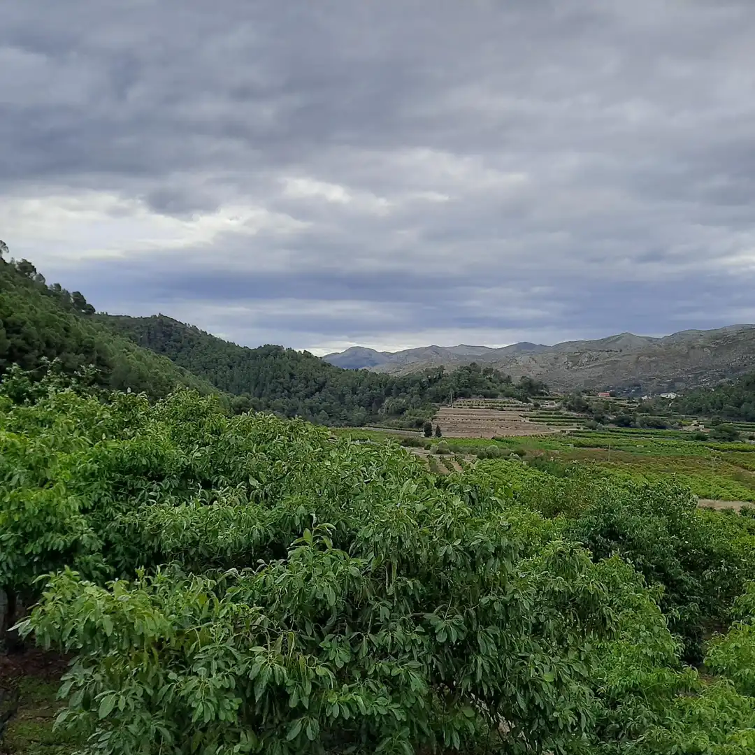 Xalet amb piscina en venda a L'Atzúbia, imagen 29