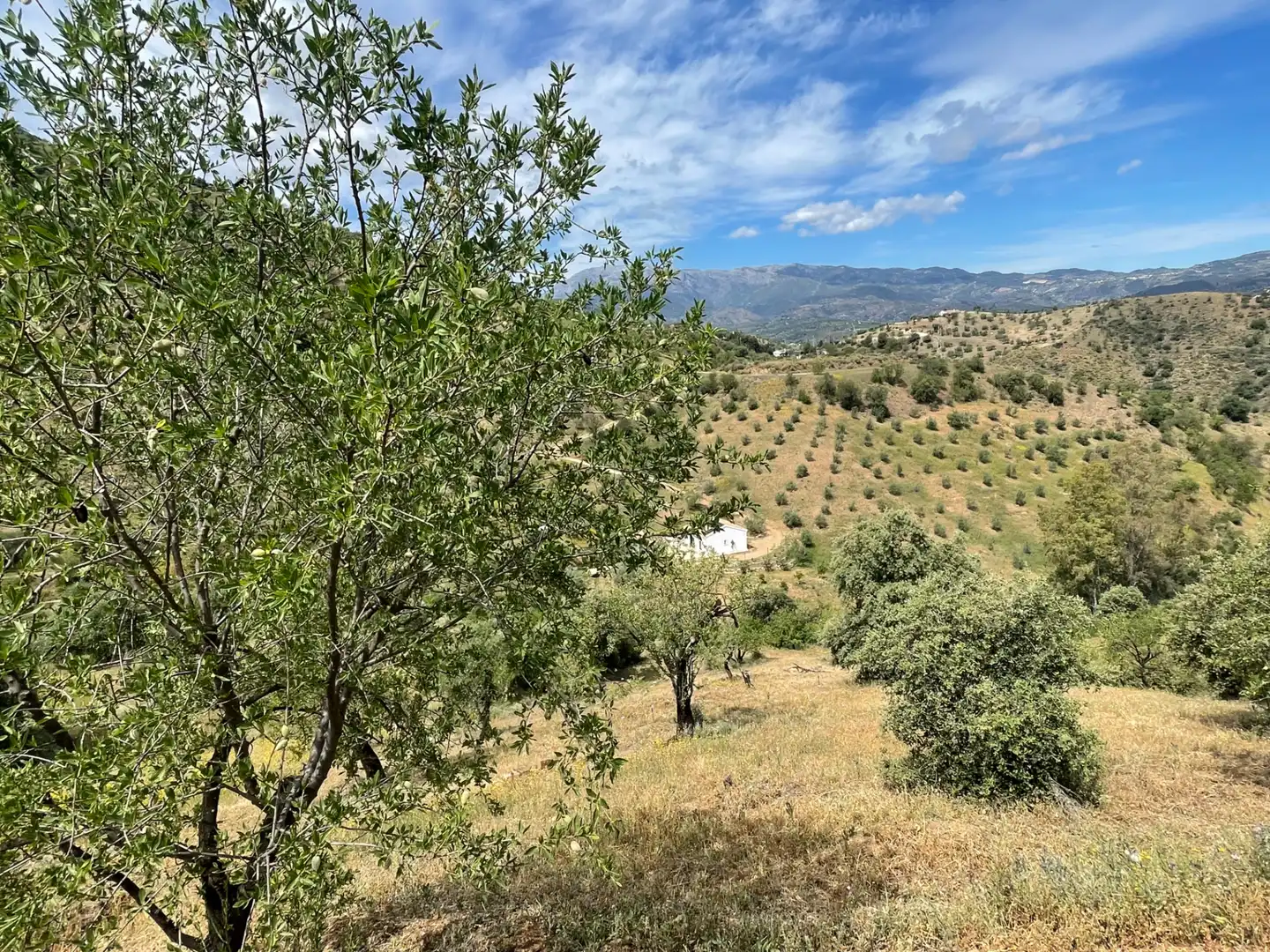 Terreno en venta en Guaro