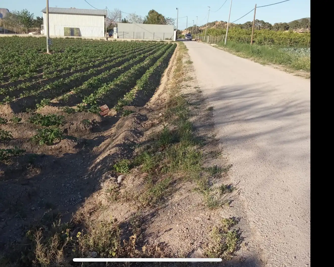 Finca rústica en venda en Orihuela amb Terrassa