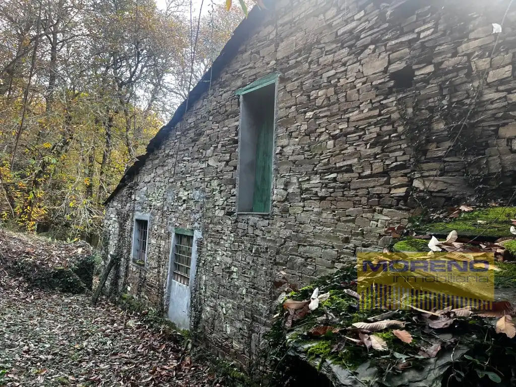Vista exterior de Finca rústica en venta en O Incio 