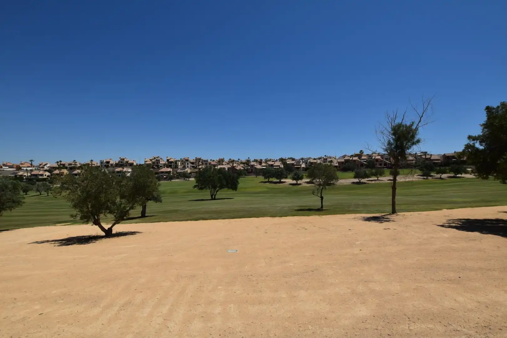 Vista exterior de Casa o chalet en venta en Algorfa con Aire acondicionado, Calefacción y Jardín privado