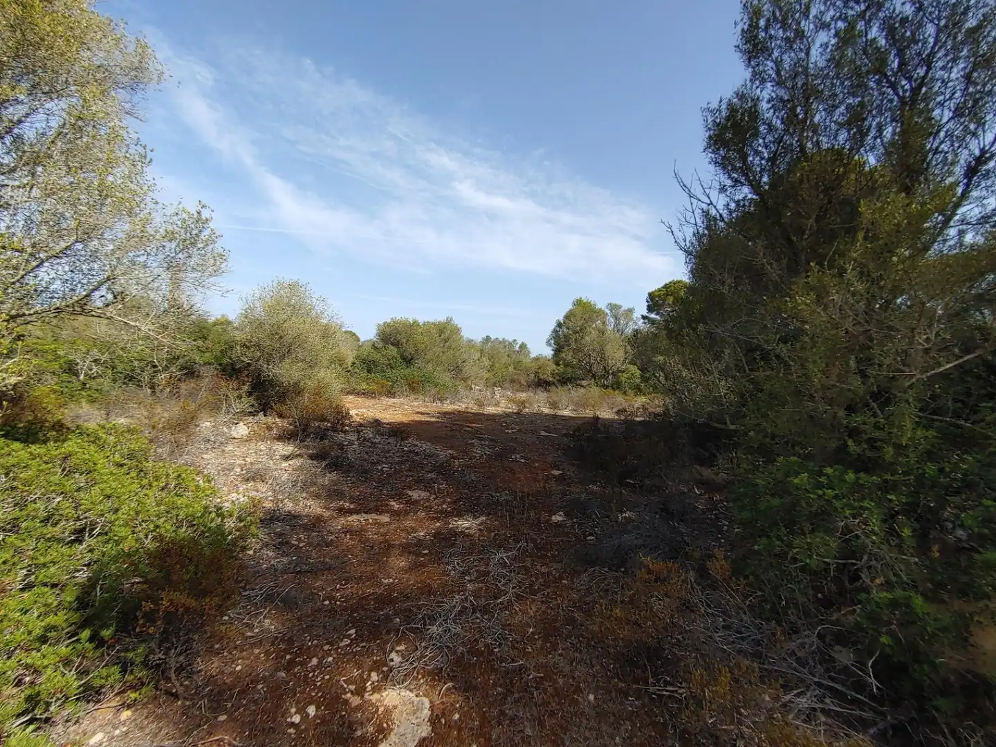 Residencial en venta en Polígono Parcela 12, Cala Pi - Vallgornera