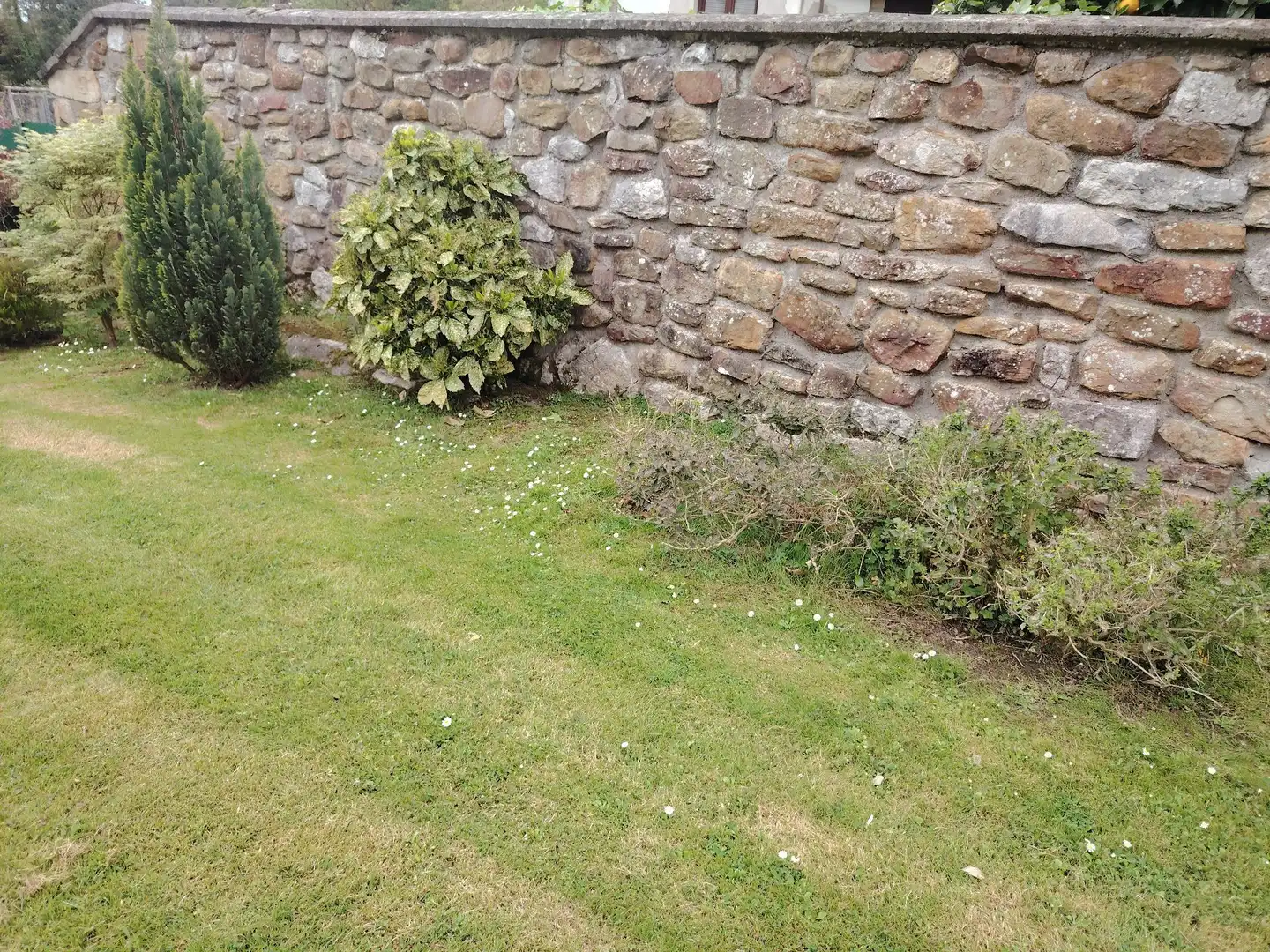 Jardí de Casa adosada en venda en Liendo amb Calefacció, Jardí privat i Terrassa