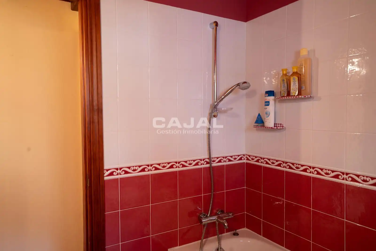 Bathroom of Detached homes for sale in Riaza  with Heating, Storage room and Swimming Pool