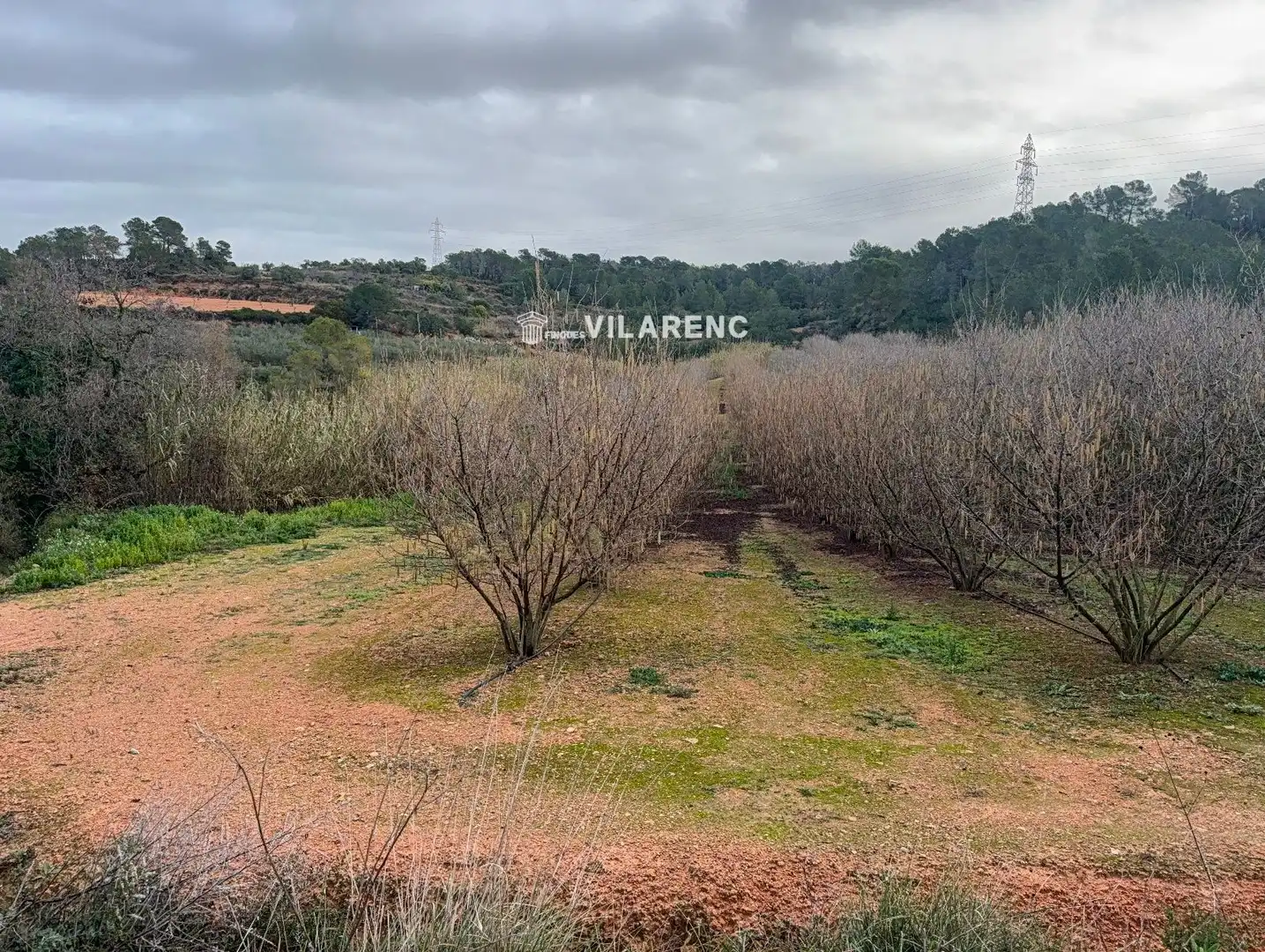 Terrain rustique à vendre à Vallmoll, imagen 7