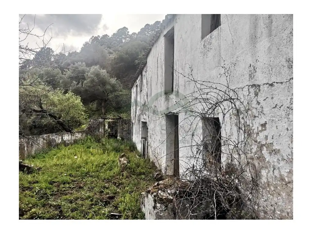 Vista exterior de Finca rústica en venda en Jubrique