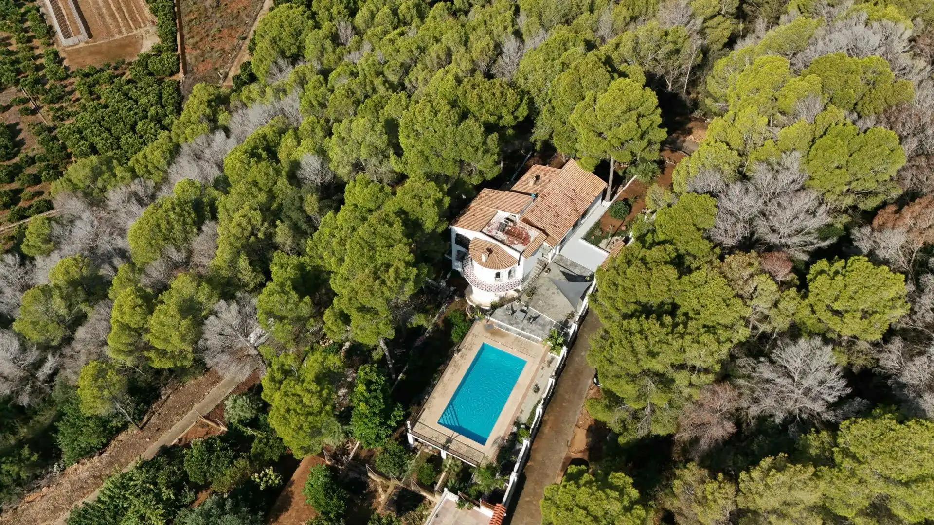 Jardín de Casa o chalet en venta en Gandia con Jardín privado, Terraza y Piscina