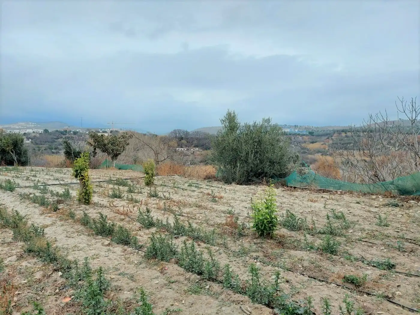Casa o chalet en venta en Ugíjar