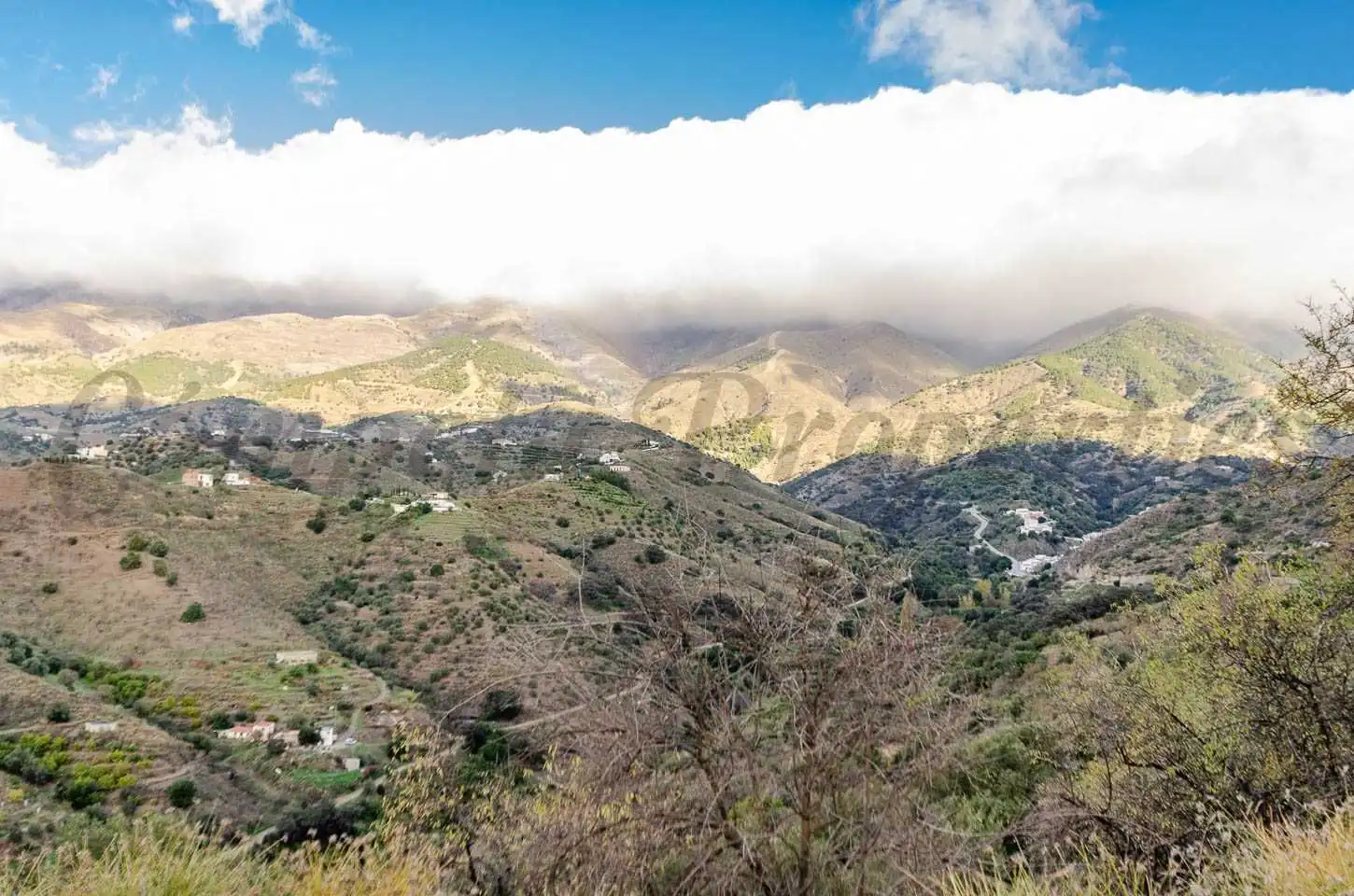 Terreno rustico in vendita a Salares, imagen 2