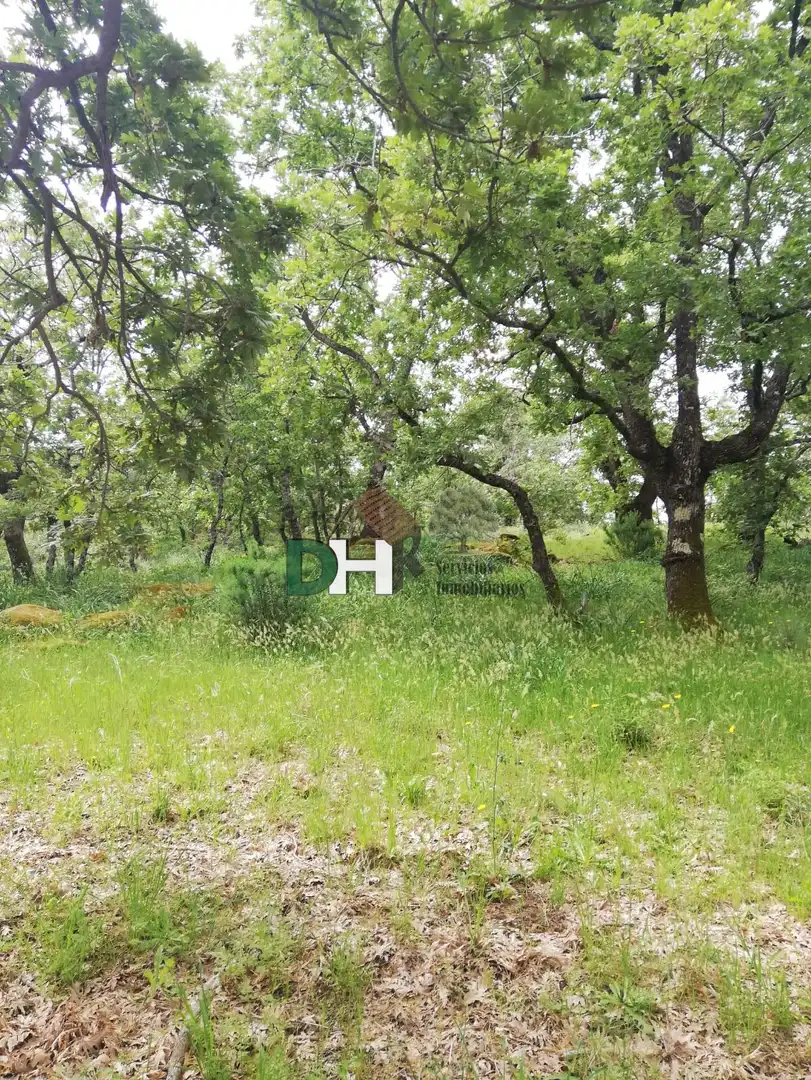 Finca rústica en venda a Perales del Puerto