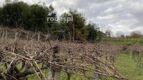 A CAÑIZA, immagine 3