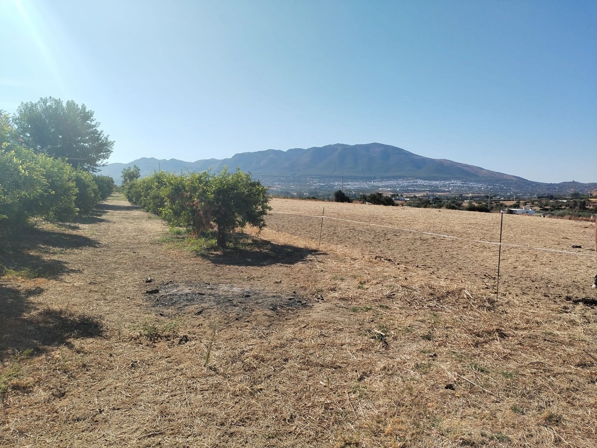 Country house for sale in Alhaurín El Grande