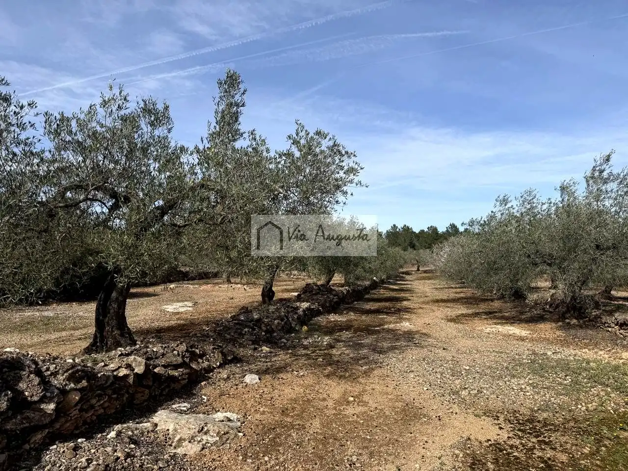 Finca rústica en venda en El Perelló
