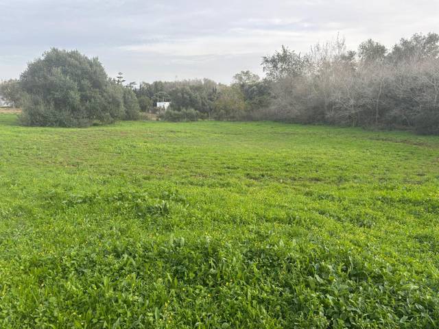 Terreno en Venta en La Muela