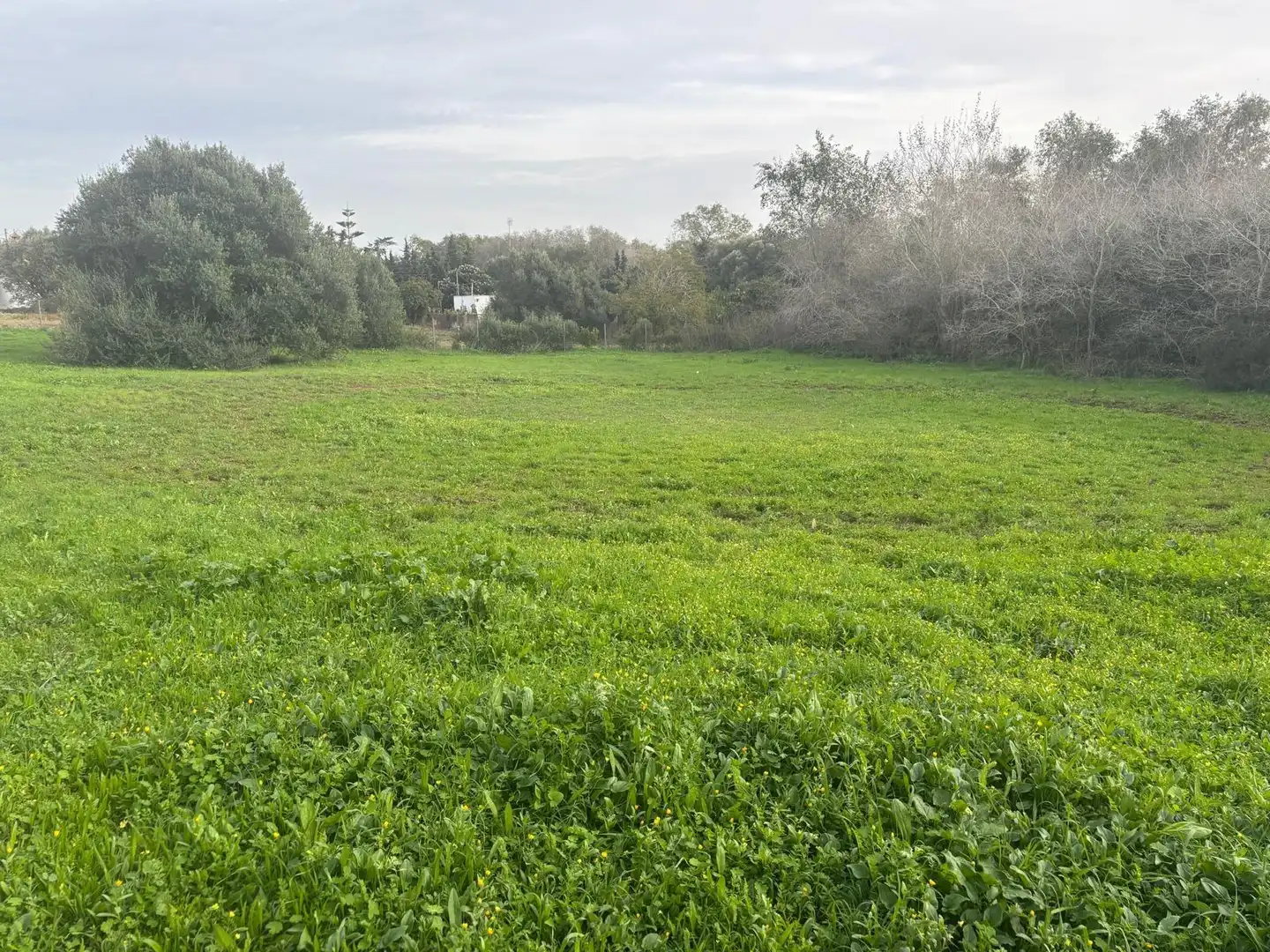 Terreno en venta en Vejer de la Frontera