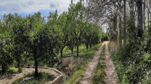 Foto 3 de Terreno en venta en Urbanitzacions i Pedanies Nord, Alzira