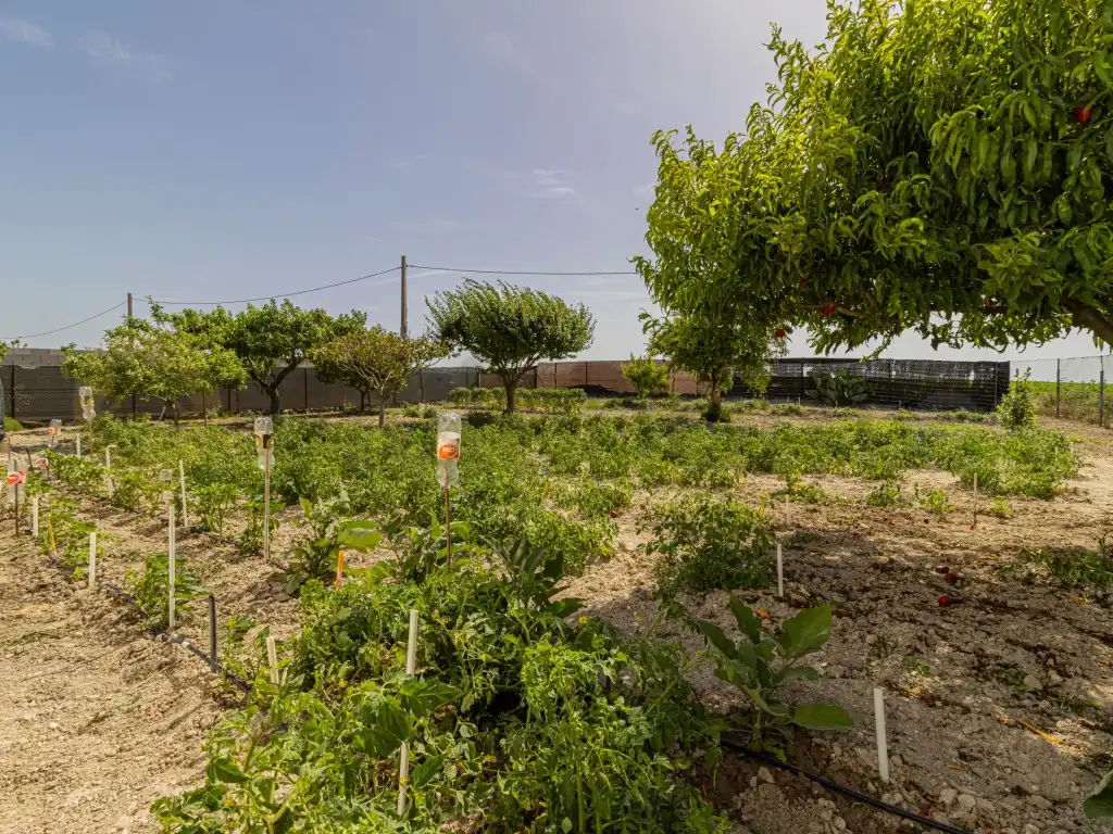 Casa o chalet en venta en El Puerto de Santa María