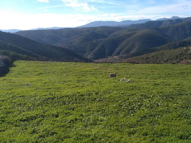 Terreno en Venta en 3 en San Miguel de Valero