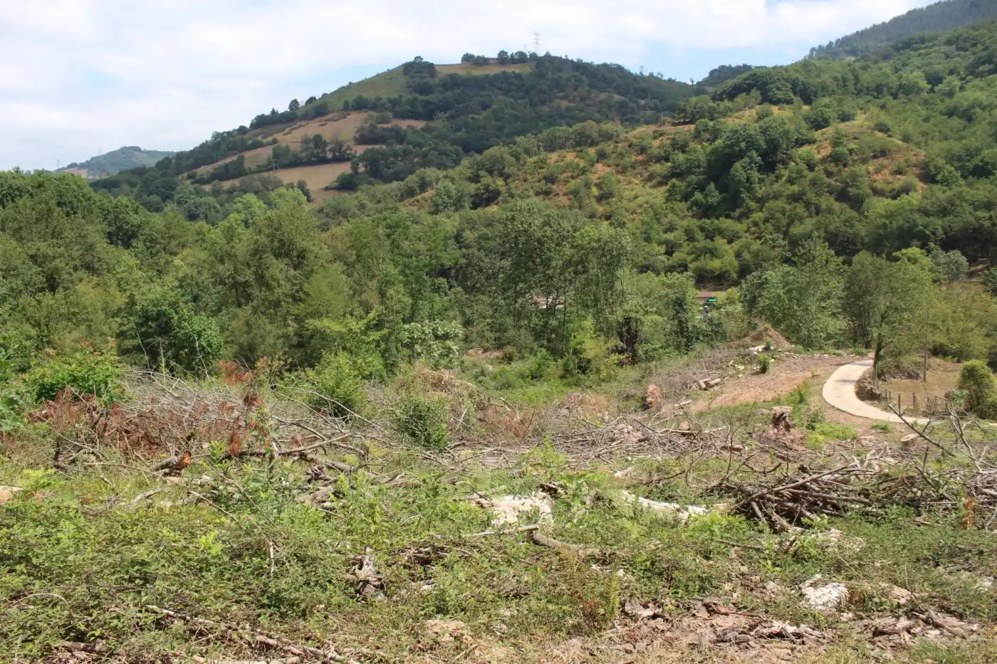 Finca rústica en venta en Sunbilla
