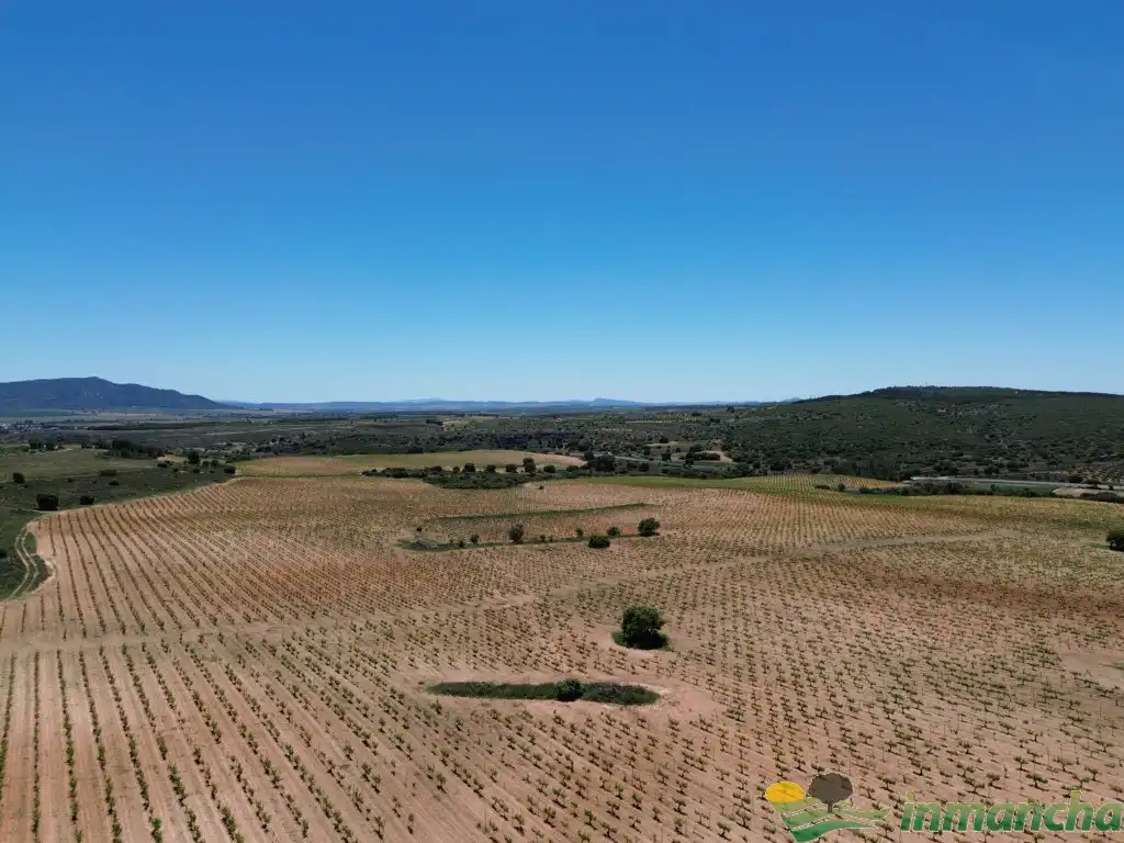 Terreni e lotti in vendita a Almansa, imagen 5