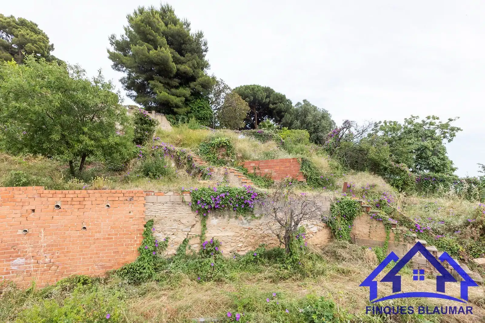 Finca rústica en venda en Arenys de Mar amb Calefacció, Jardí privat i Terrassa