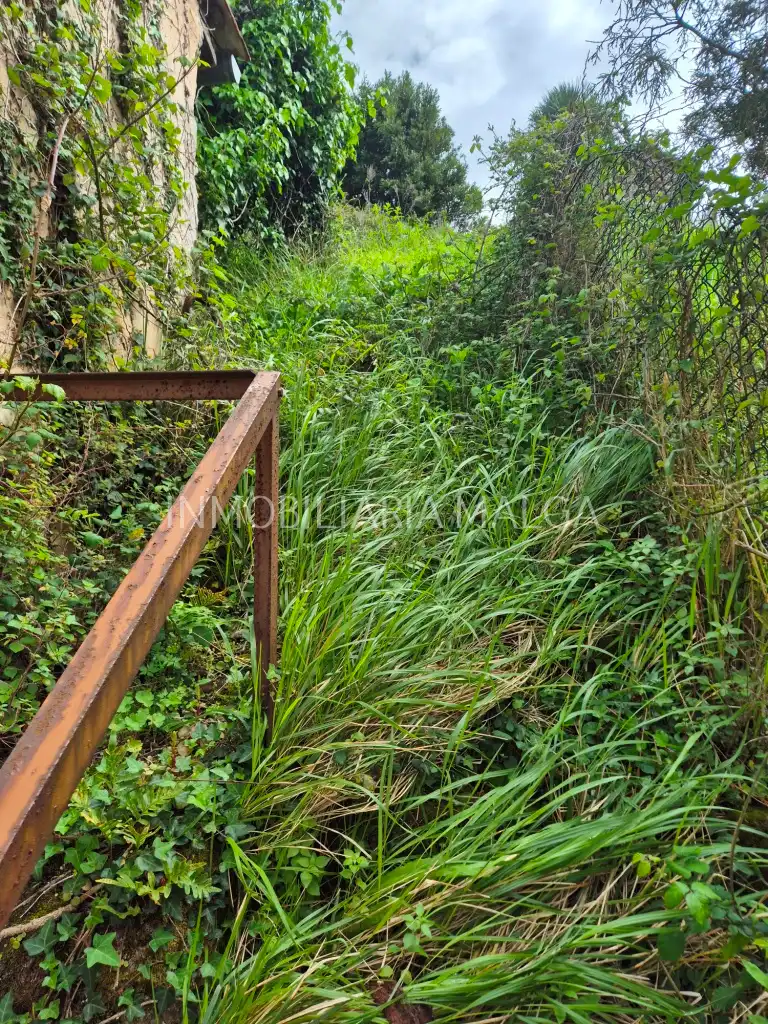 Casa o xalet en venda en Colunga amb Jardí privat