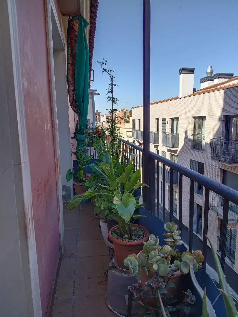 Piso con terraza en venta en Carrer de la Mare de Déu de Lourdes 53, imagen 12