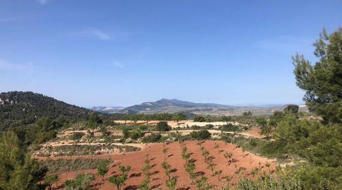 Foto 5 de Casa o chalet en venta en El Pinós / Pinoso, Alicante