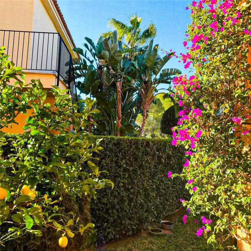 Baixos amb piscina en venda a Sa Ràpita - Ses Covetes, imagen 4