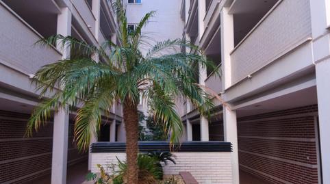 Foto 4 de Apartament de lloguer a Babel, Alicante / Alacant