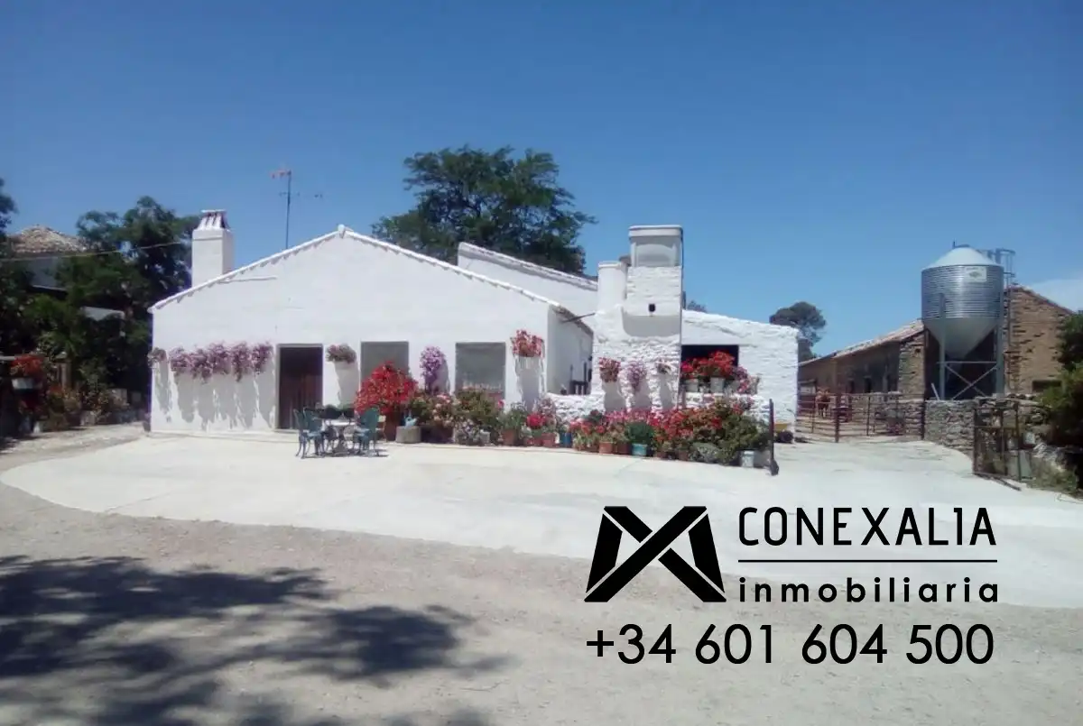 Casa rústica en venda a Olvera, imagen 6